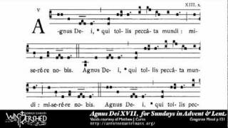 Agnus Dei XVII from Mass XVII Gregorian Chant [upl. by Tannie]