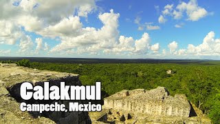 Mexico  Mayan Ruins of Calakmul Campeche [upl. by Inalan]