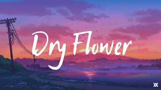 優里 Yuuri  Dry Flowerドライフラワー Cover by Harutya Lyrics Video [upl. by Aiouqahs]