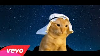 Arabian cat  Official Music VIdeo ftPanjabi MC [upl. by Noiemad]