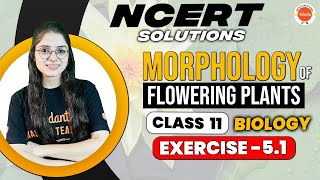 BIOLOGY Class 11 NCERT EXERCISE 51 Morphology of Flowering Plants  Biology Chapter 5  Ekta Maam [upl. by Alaric]