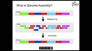 Fundamentals of Genome Assembly [upl. by Raymund]