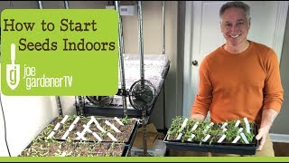 How I Start Seeds Indoors Tips amp Techniques [upl. by Bethany]