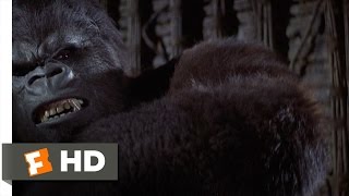 King Kong 69 Movie CLIP  Trapping the Beast 1976 HD [upl. by Animrac11]