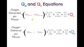 Understanding Shunt Fraction QpQs [upl. by Fabozzi]