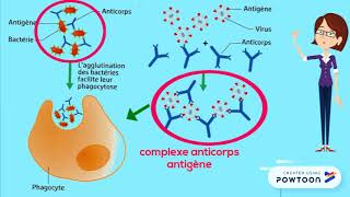 Réaction immunitaire spécifique [upl. by Ardelia]