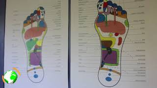 La réflexologie plantaire [upl. by Iru]
