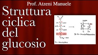 Struttura ciclica del glucosio  L5 [upl. by Pris971]