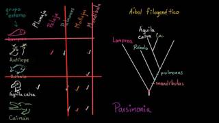 🔴Diagrama de Árbol  Ejemplos [upl. by Luigi]