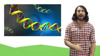 Nucleic Acids DNA and RNA [upl. by Florie66]