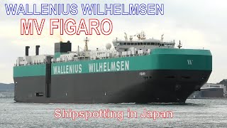 自動車運搬船 MV FIGARO  WALLENIUS WILHELMSEN  2021DEC  Shipspotting Japan [upl. by Macmillan]