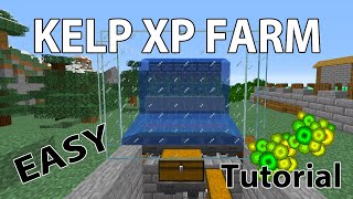 Kelp Farm Minecraft 117  Easy early game XP Farm Tutorial  AFK Starter Farm 2021 [upl. by Brunhilda737]