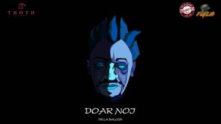 NELI THGOD  Doar noi Official Audio [upl. by Figge554]