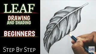 HOW TO DRAW AND SHADE A LEAF  Step By Step [upl. by Ardnuassac]