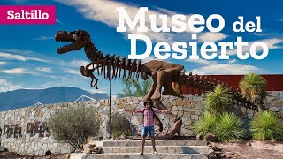 Museo del Desierto en Saltillo Coahuila [upl. by Gerty]