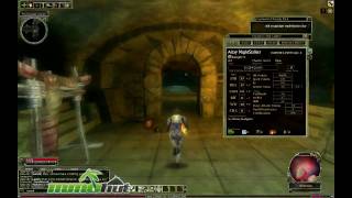 Dungeons and Dragons Online Gameplay  First Look HD [upl. by Haff]