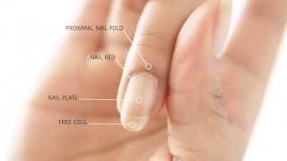 HOW TO REMOVE CUTICLES WITHOUT BLEEDING  abetweene [upl. by Ainatnas]