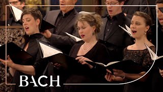 Bach  Motet Singet dem Herrn ein neues Lied BWV 225  MacLeod  Netherlands Bach Society [upl. by Aleil]