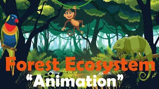 FOREST ECOSYSTEM  Biology Animation [upl. by Leacock]