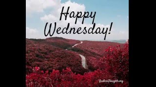 inspirational wednesday quotes and images [upl. by Petrick210]