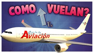 ¿Cómo hace un avión para volar [upl. by Mallory]