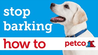 How to Train Your Dog to Stop Barking Petco [upl. by Celin]