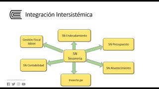 el sistema nacional de tesoreria [upl. by Lodi]