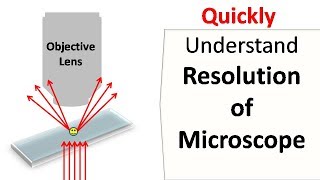 Resolution of a Microscope [upl. by Immaj75]