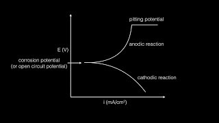 Potentiodynamic Corrosion Testing Protocol step by step [upl. by Giana]