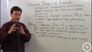 Darwins Theory of Evolution [upl. by Osrit]