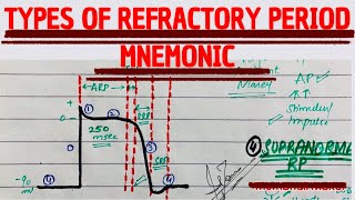 What is refractory period MNEMONIC  MEDICINE with DR SHAMAMA [upl. by Lejeune]