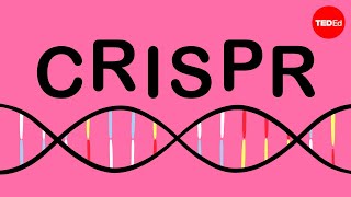 Transformation Conjugation Transposition and Transduction [upl. by Acirtal]