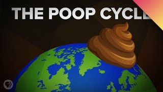 How Poop Shapes the World [upl. by Queenie]