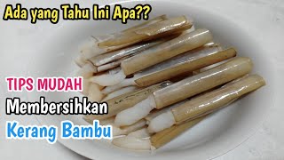 Cara Membersihkan Kerang Bambu Sebelum Dimasak [upl. by Reames]