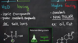 Hydrophilic vs Hydrophobic [upl. by Eelannej]