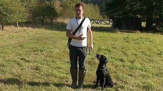 Gundog training The basics and benefits [upl. by Kurland397]