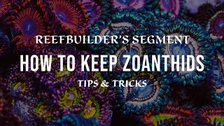 Zoanthids  How to Keep and Growing using Tips and Tricks Reefbuilders Video Segment [upl. by Ahtebat]