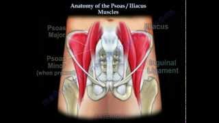 Abdominal Examination Murphys Sign Rovsings Sign Psoas Sign Obturator Sign [upl. by Fondea]