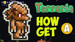 Terraria how to get Werewolf Charm EASY  Terraria 1449 how to get Moon Charm [upl. by Hasheem874]