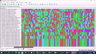 MEGA X How to construct a phylogenetic tree [upl. by Nyrmac593]