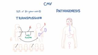 CMV Virology  Epidemiology and Pathophysiology [upl. by Ennis]