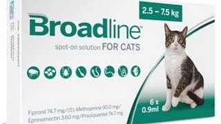 How to apply BROADLINE for cats [upl. by Pavlov122]