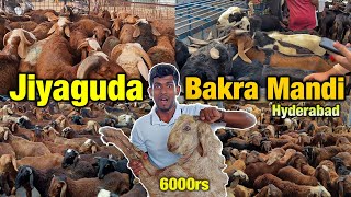 HYDERABAD JIYAGUDA BAKRA MANDI  2024  Goat Market  Qurbani Ke Jaanwar [upl. by Eniluqcaj]