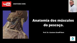 Anatomia dos músculos do pescoço [upl. by Einnok]