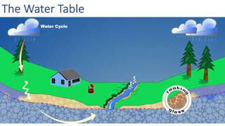 The Water Cycle Infiltration vs Runoff [upl. by Aleakam416]