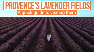 A quick guide to visiting Provences blooming lavender fields [upl. by Eden]