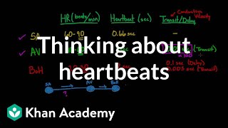 Thinking about heartbeats  Circulatory system physiology  NCLEXRN  Khan Academy [upl. by Walke]