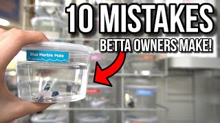 10 MISTAKES Betta Fish Owners Make [upl. by Nnayram]