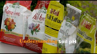 Understanding Soil pH [upl. by Eelatsyrc404]