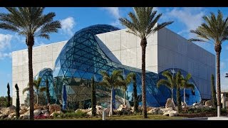 The Dali Museum An Unparalleled Experience [upl. by Olshausen]